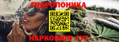 apvp Нарткала