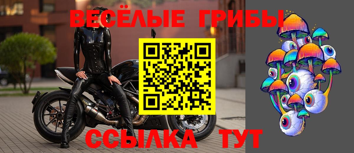 Шелехов  Псилоцибиновые грибы прущие грибы  Вход с VPN 