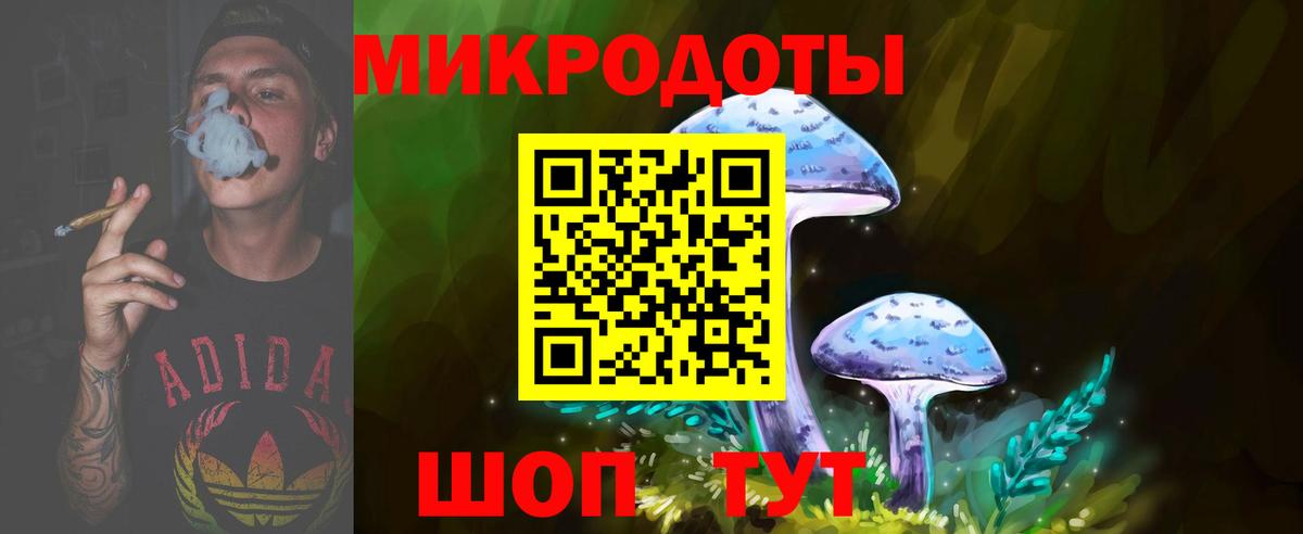 Псилоцибиновые грибы Cubensis Шелехов